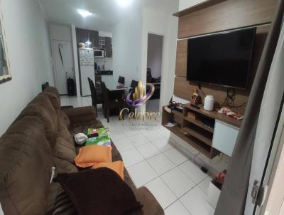 imagem-miniatura